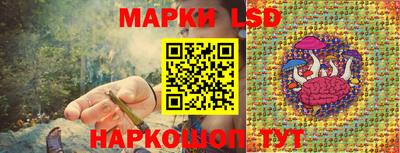 крисы Сланцы