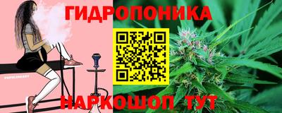крисы Сланцы