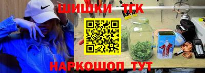мдпв Славгород